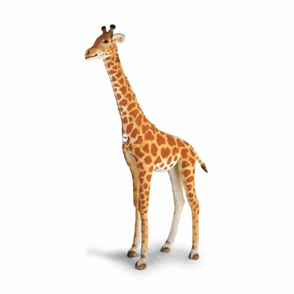 Giraffe Gross