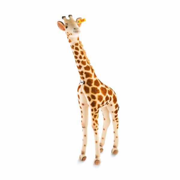 giraffe klein